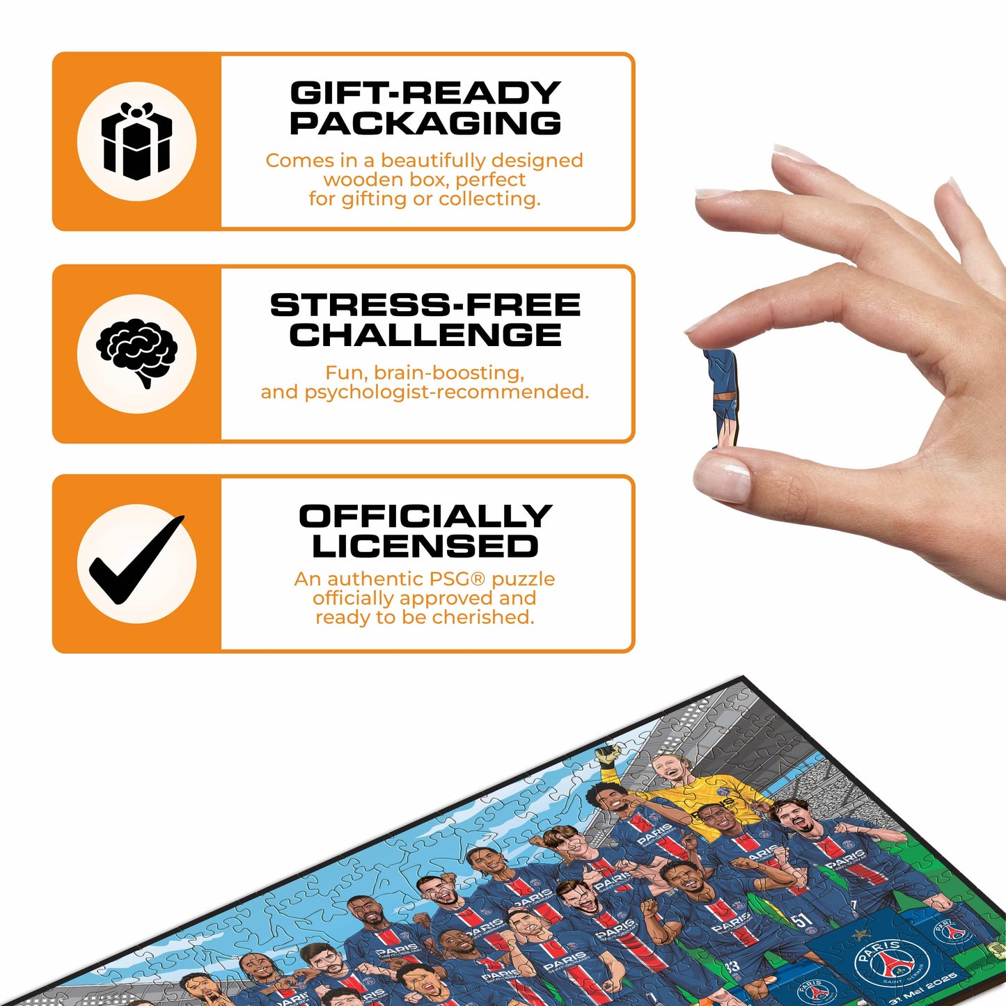 PSG FC® 2024/25 Team "Treble Winners" - Wooden Puzzle