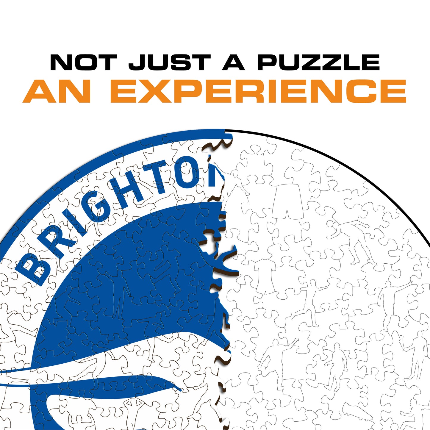 Brighton & Hove Albion FC® Crest - Wooden Puzzle