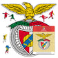 SL Benfica® Crest - Wooden Puzzle