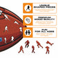 Seattle Seahawks™ - Wooden Puzzle