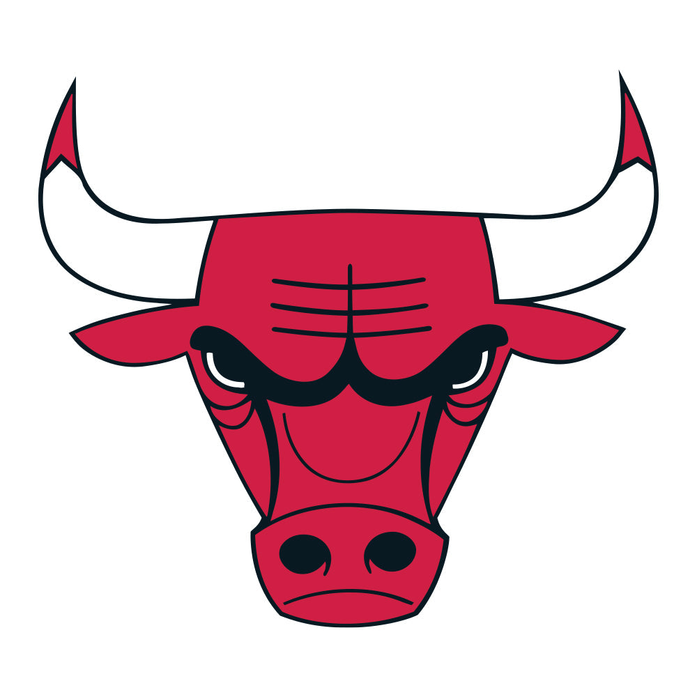 Chicago Bulls™ - Wooden Puzzle