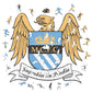 2 PACK Manchester City FC® Retro Crest + Haaland